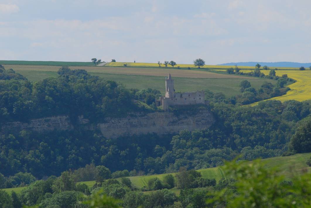 Ein Bild, das Gras, drauen, Himmel, Natur enthlt.

Automatisch generierte Beschreibung